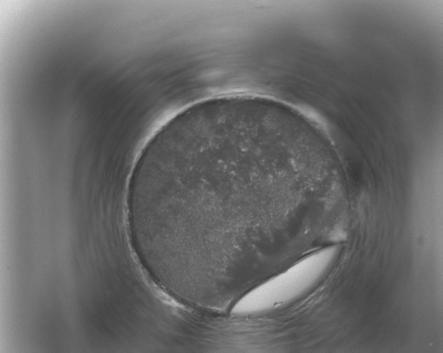 X0000062141279200512121232