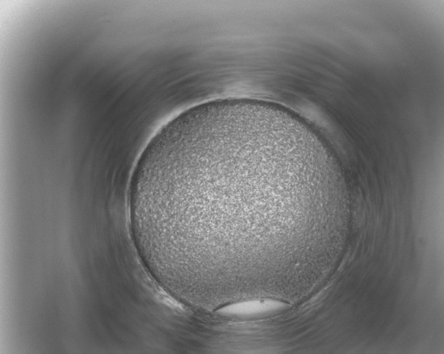 X0000062141280200512121232