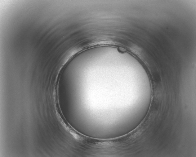 X0000062141282200512121232