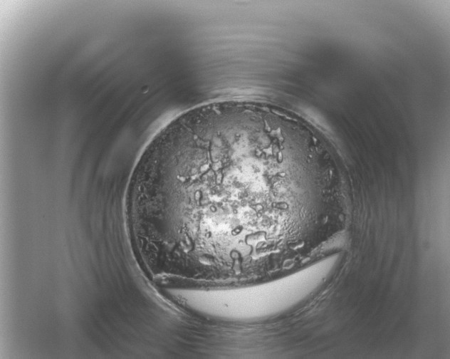 X0000062141283200512121232