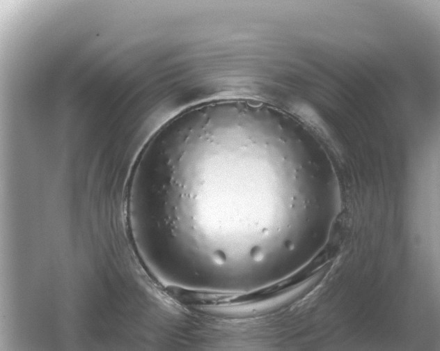 X0000062141284200512121232