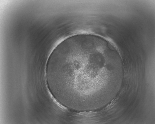 X0000062141287200512121232