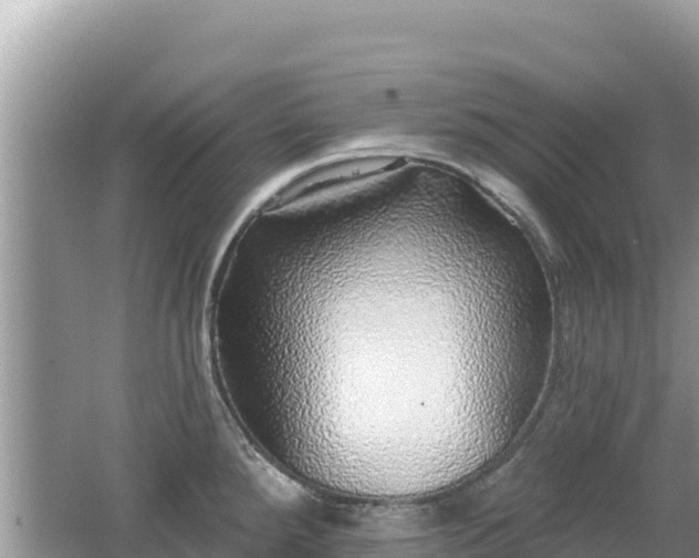 X0000062141288200512121232