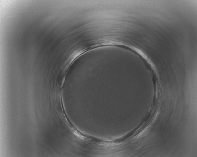 X0000062141289200512121232