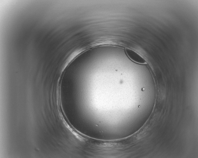 X0000062141290200512121232