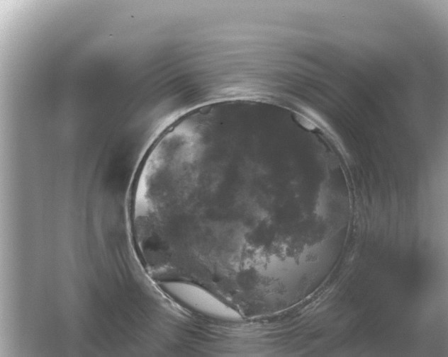 X0000062141291200512121232