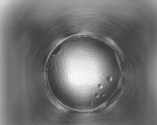 X0000062141292200512121232