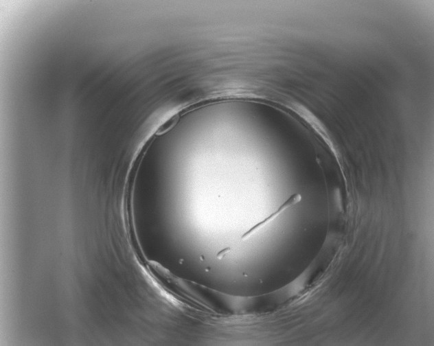 X0000062141293200512121232