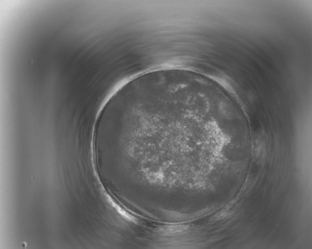 X0000062141294200512121232