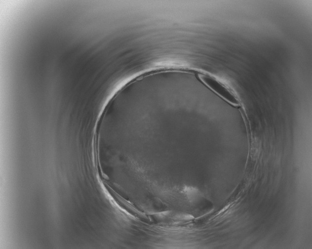 X0000062141295200512121232