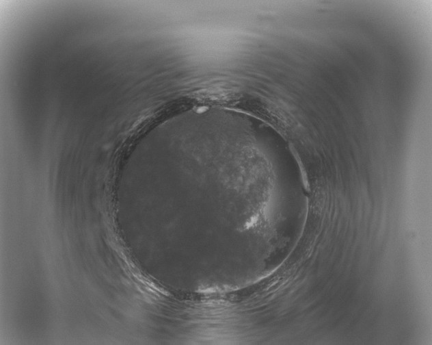 X0000062141297200512121231