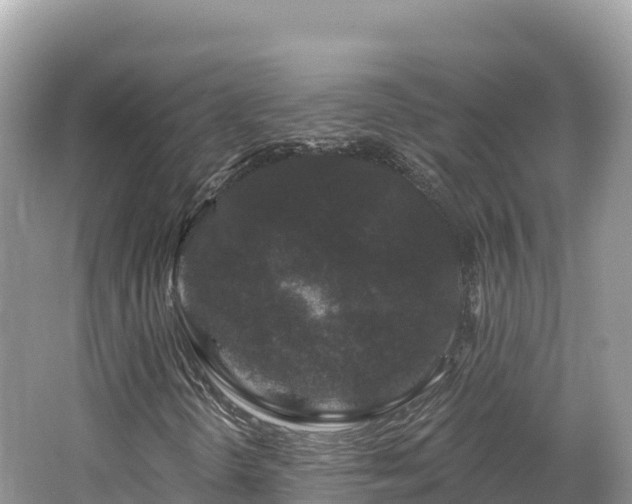 X0000062141298200512121231