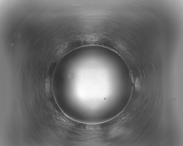 X0000062141299200512121231