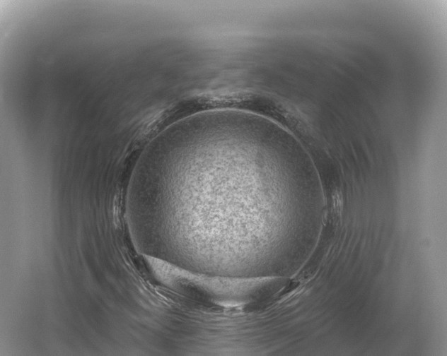 X0000062141300200512121231