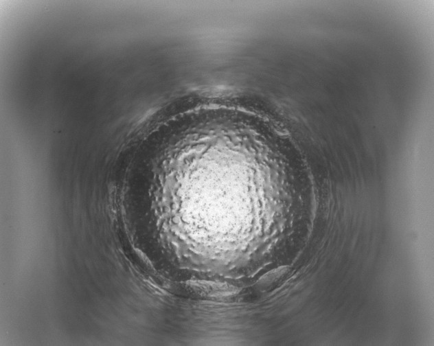 X0000062141301200512121231