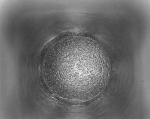 X0000062141302200512121231