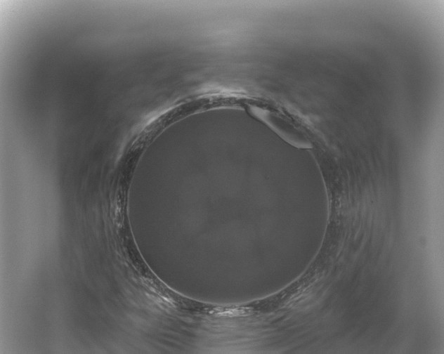 X0000062141303200512121231