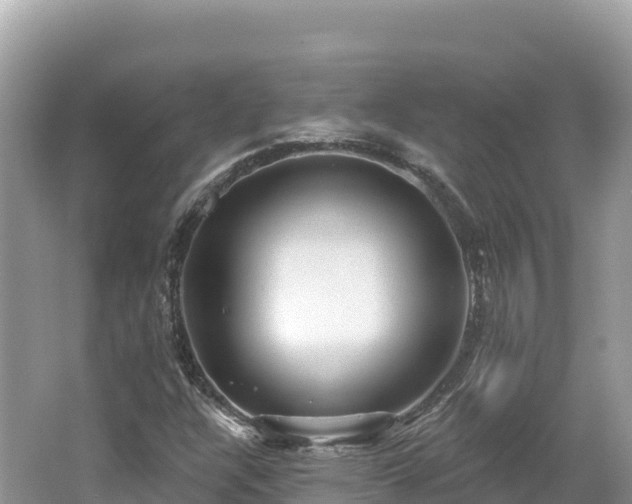 X0000062141304200512121231