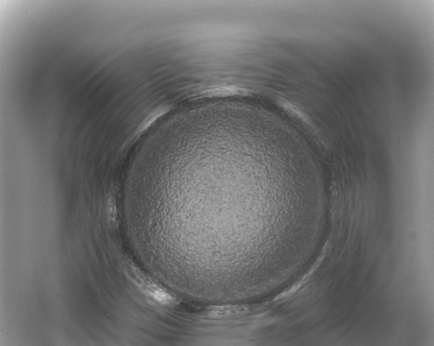 X0000062141305200512121231