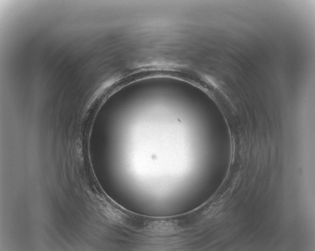 X0000062141307200512121231