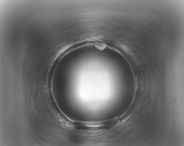 X0000062141308200512121231