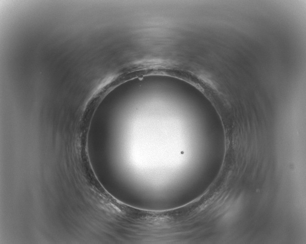 X0000062141309200512121231