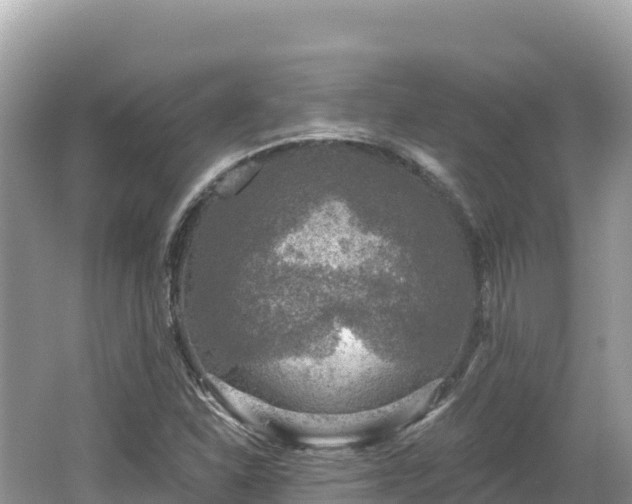 X0000062141310200512121231