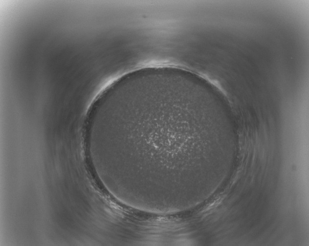 X0000062141311200512121231