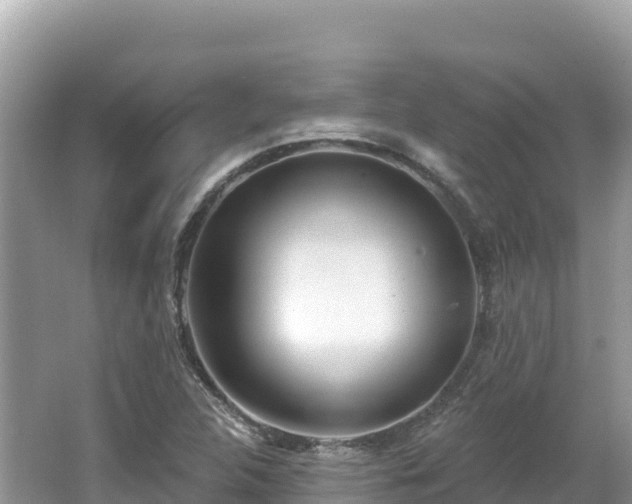 X0000062141312200512121231