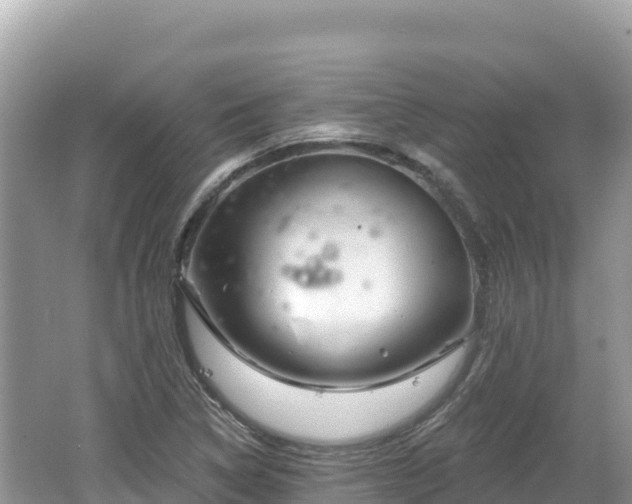 X0000062141314200512121231