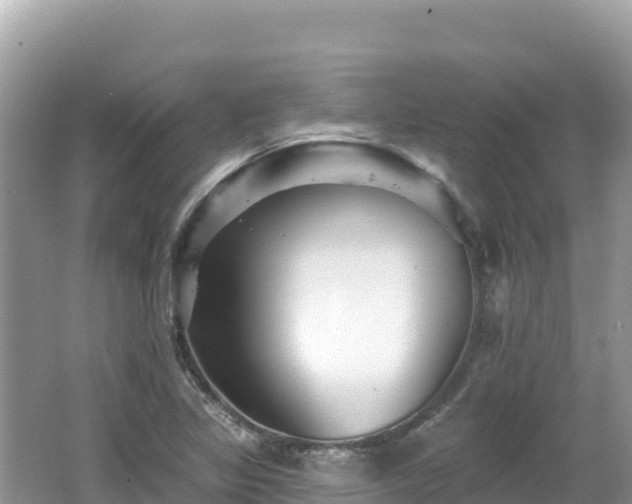 X0000062141317200512121231