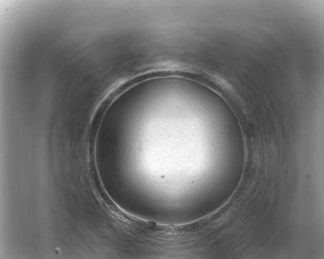 X0000062141318200512121231