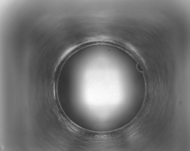 X0000062141320200512121231