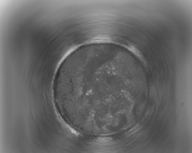 X0000062141325200512121231