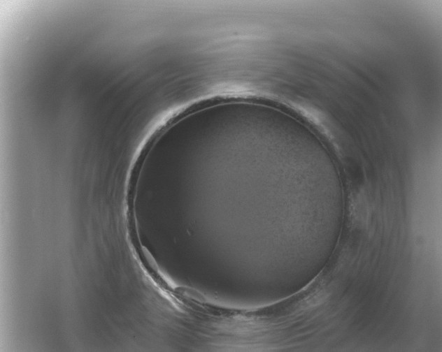 X0000062141327200512121231