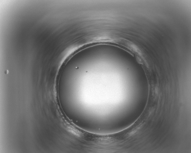 X0000062141328200512121231