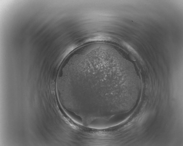 X0000062141329200512121231