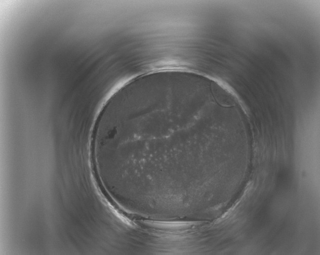 X0000062141333200512121231