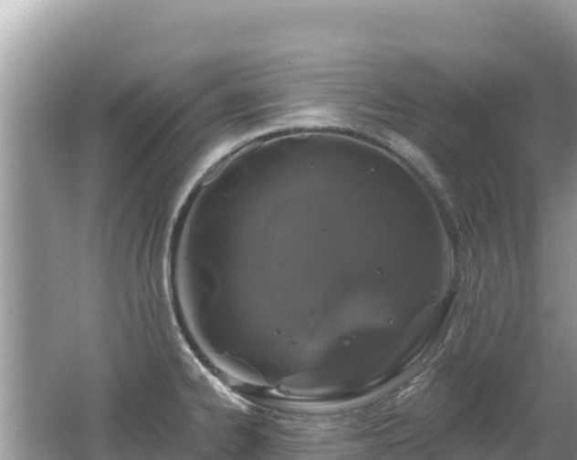 X0000062141334200512121231