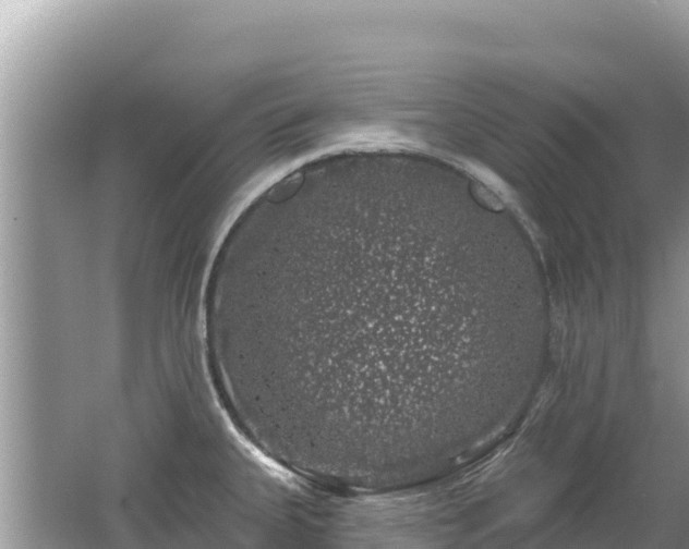 X0000062141335200512121231