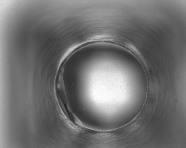 X0000062141336200512121231