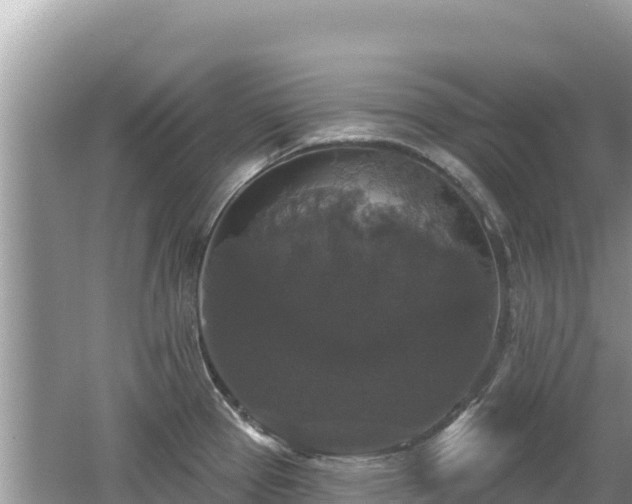 X0000062141337200512121231