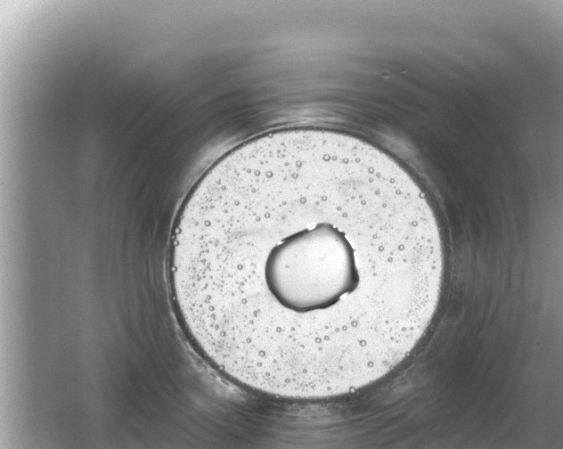 X0000062141338200512121231