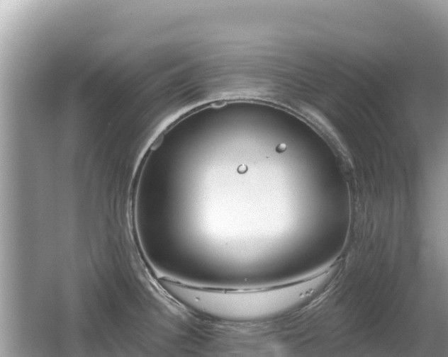 X0000062141340200512121231