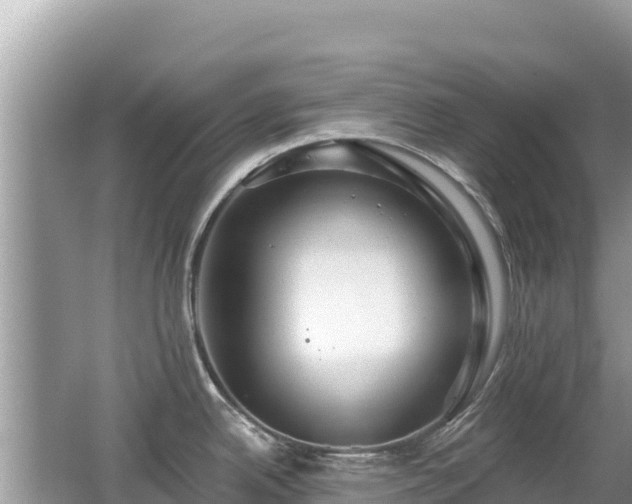 X0000062141342200512121231