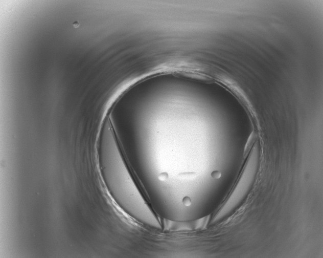 X0000062141344200512121231