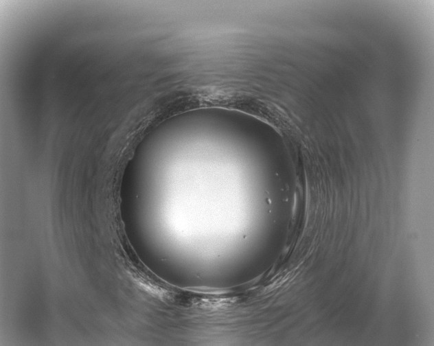 X0000062141345200512121231