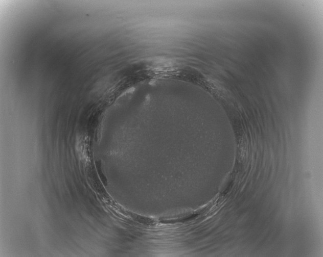 X0000062141346200512121231