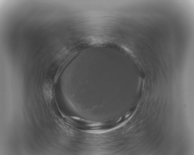 X0000062141348200512121231