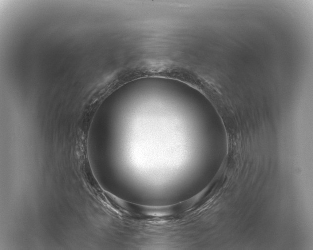 X0000062141349200512121231